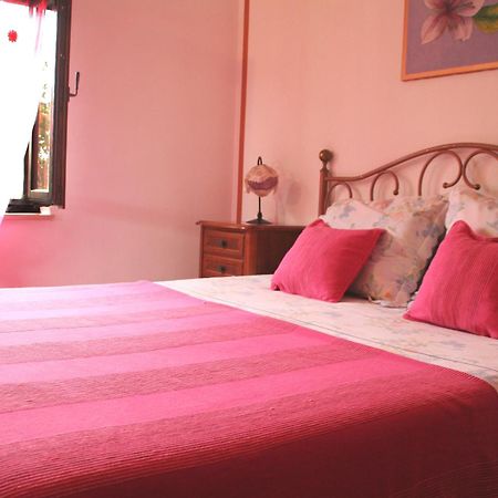 Apartmani Tara ميدولين المظهر الخارجي الصورة