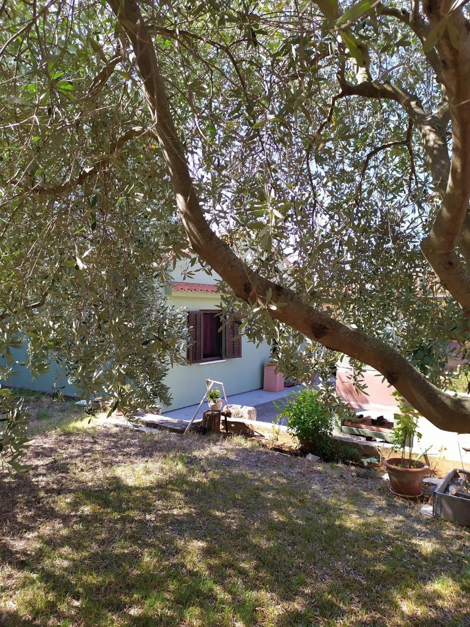Apartmani Tara ميدولين المظهر الخارجي الصورة