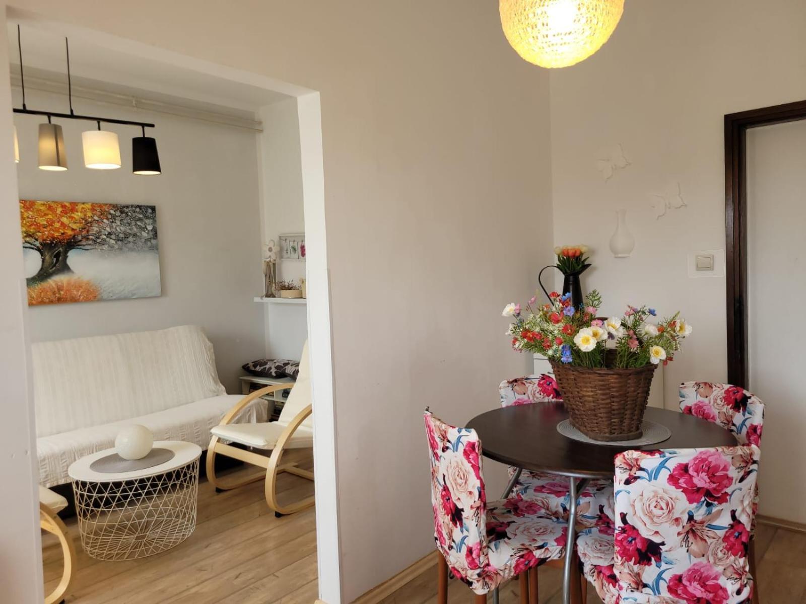 Apartmani Tara ميدولين المظهر الخارجي الصورة